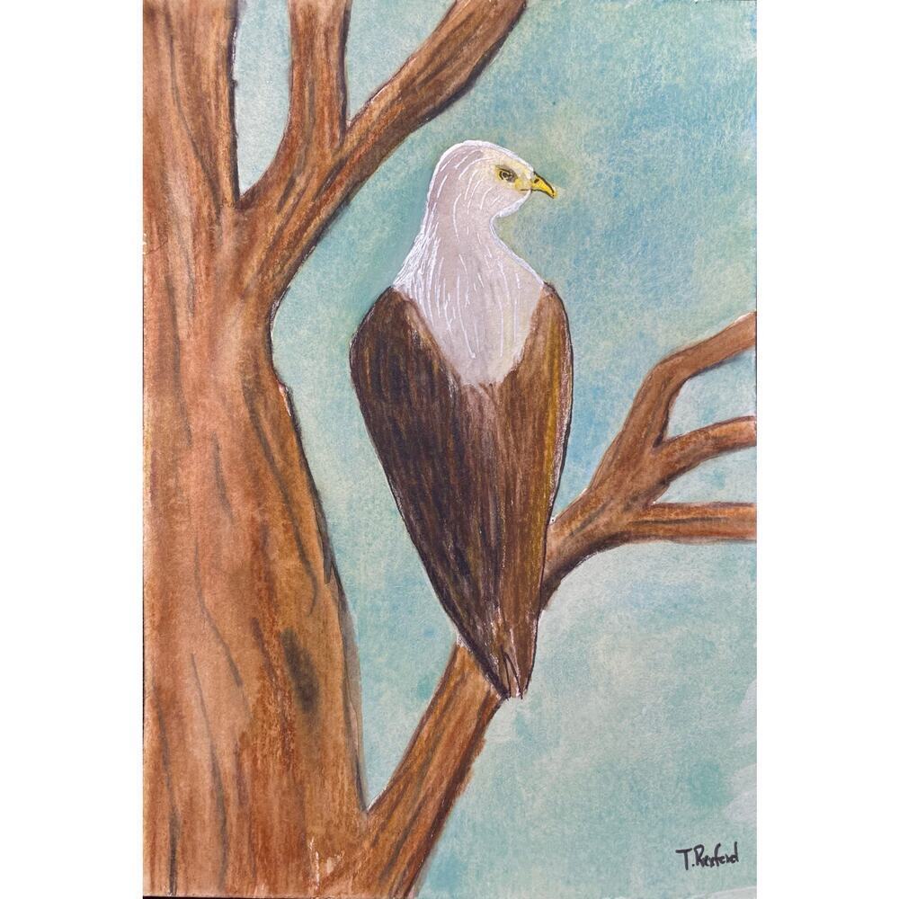 Hand painted watercolor original painting bald eagle tree sky